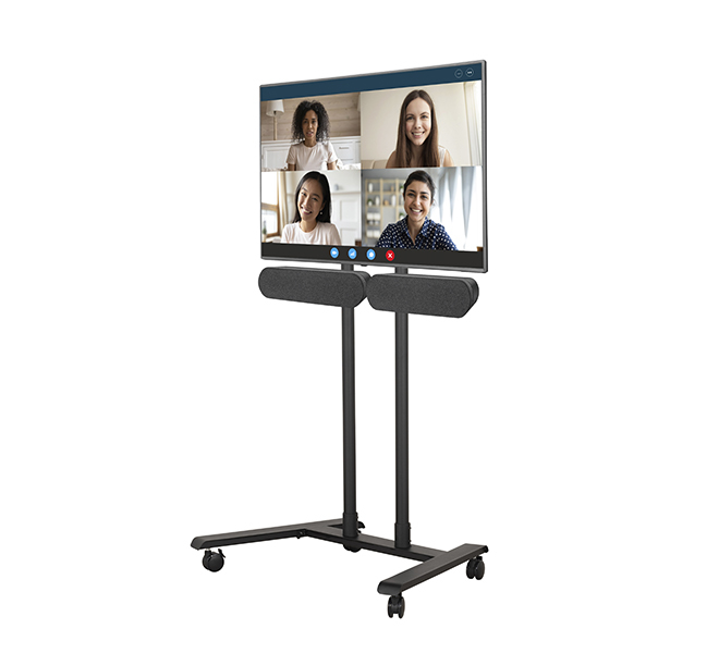 B-TECH Mounting Plate for Dual Logitech Rally Plus Speakers BT7874/B B-TECH Mounting Plate for Dual Logitech Rally Plus Speakers BT7874/B