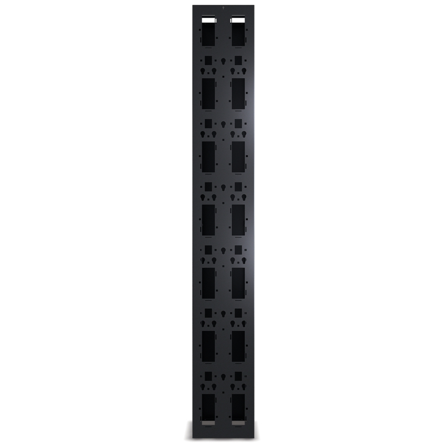 Server-Rack, Rack-Mount, Vertical Panel, Black Metal, Equipment Slot