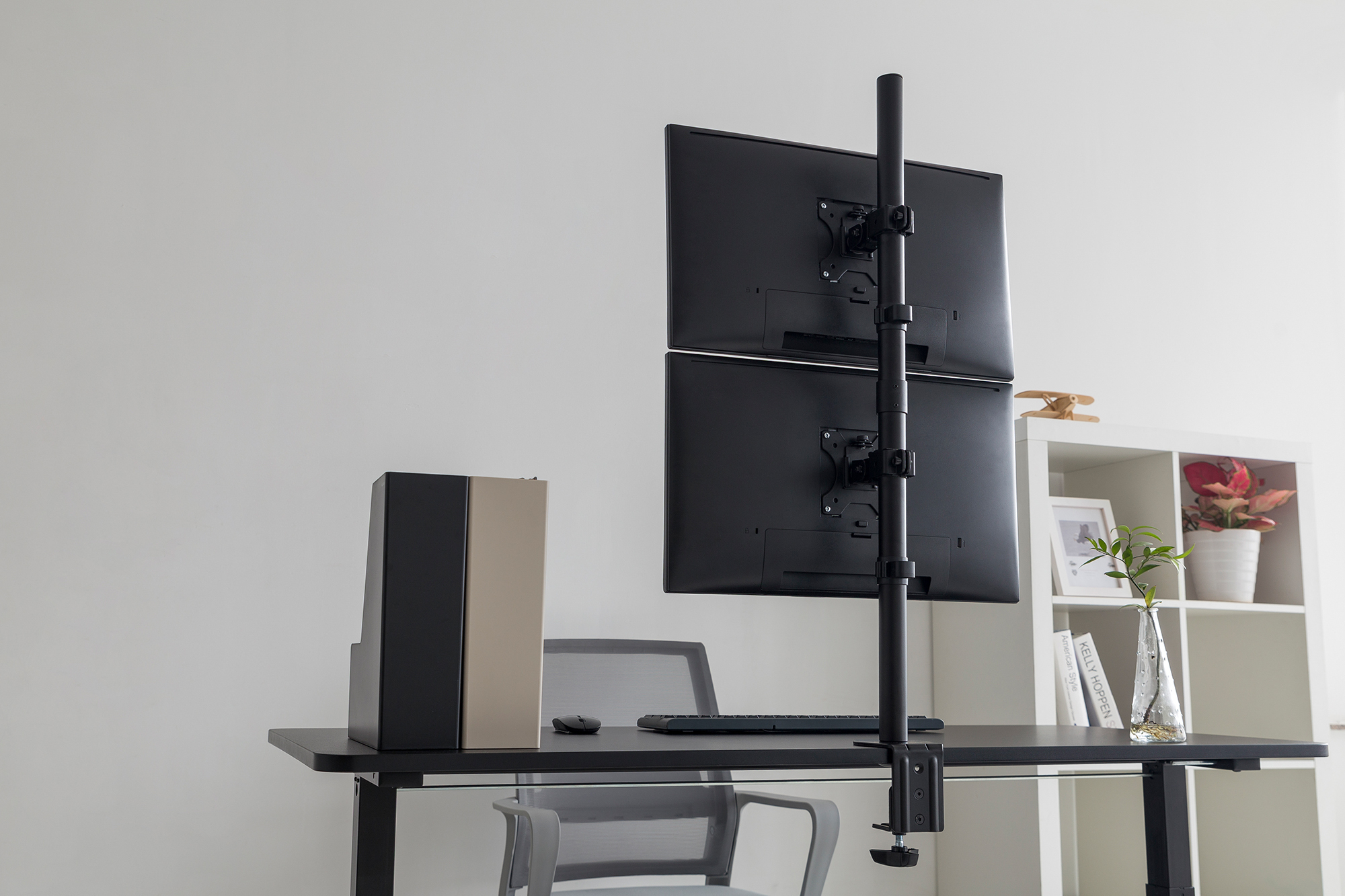 Monitor,  Dual monitor,  desk setup,  white shelf,  plant vase