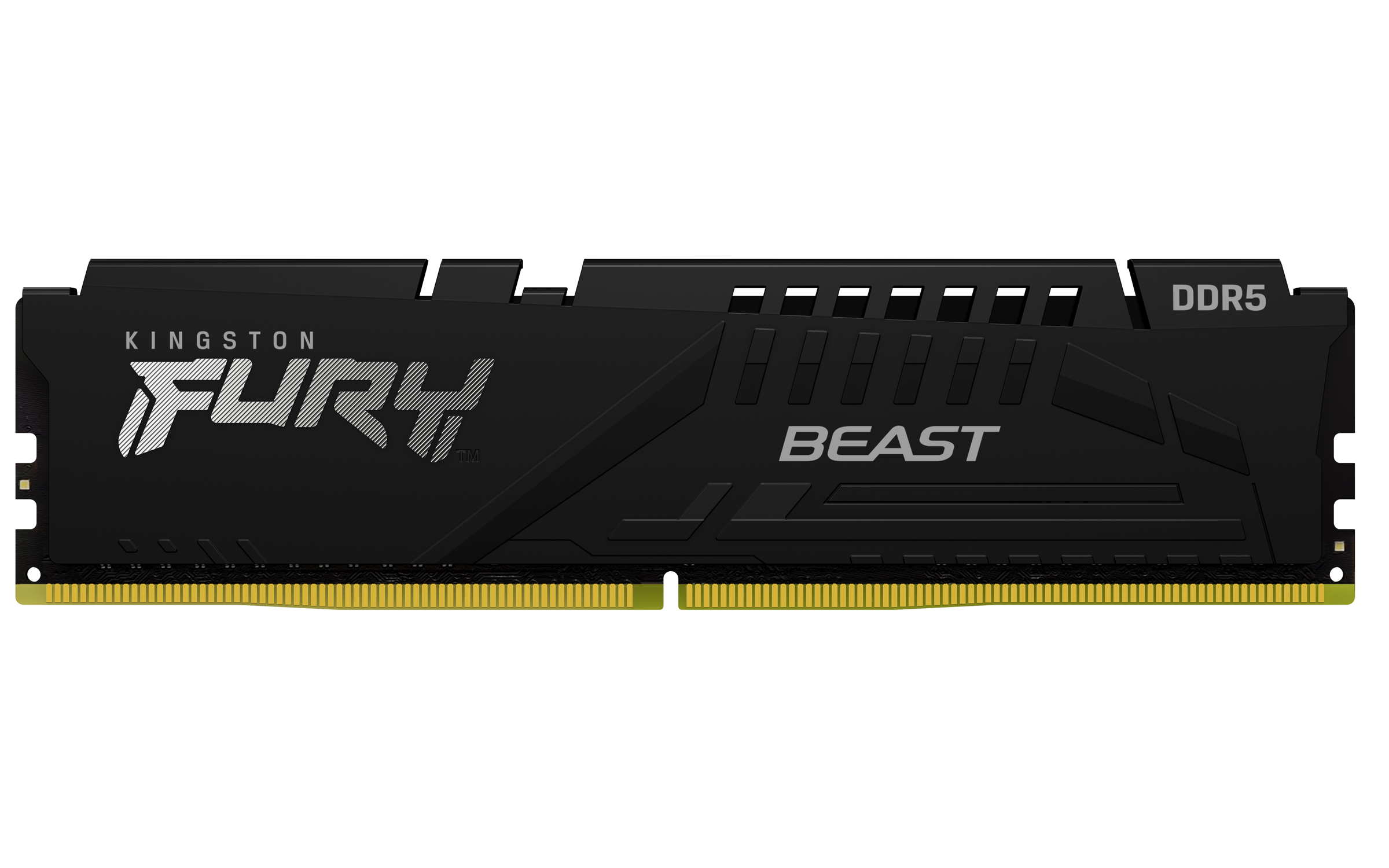 RAM Desktop DDR5 16GB 5600MHz Kingston FURY Beast (KF556C40BB-16)