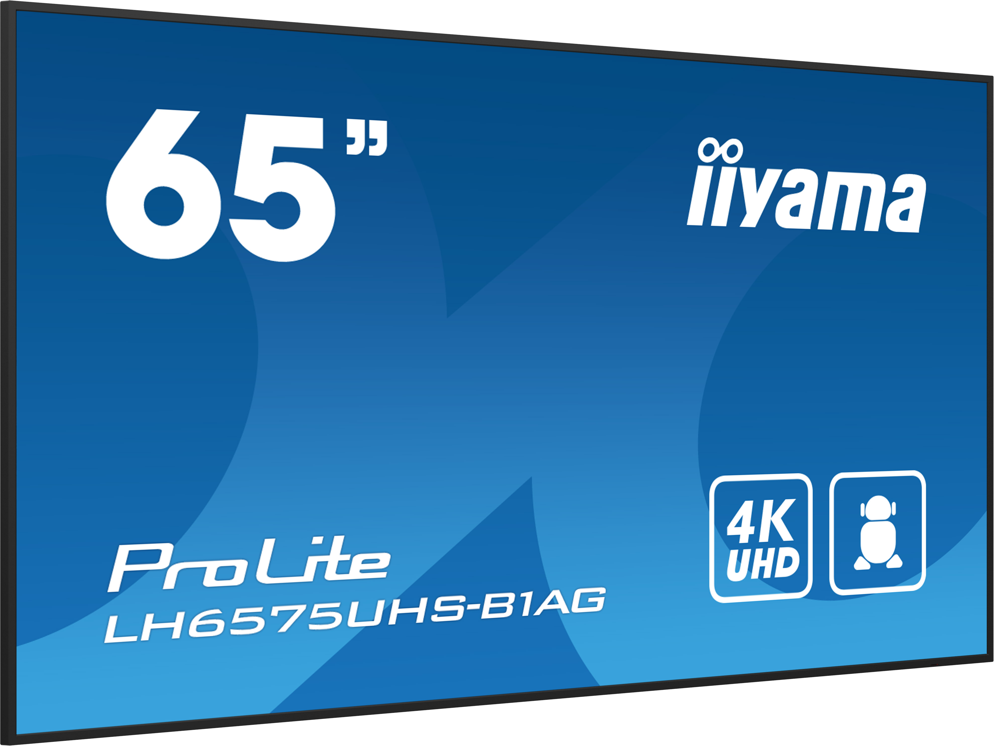 IIYAMA LFD ProLite LH6575UHS-B1AG