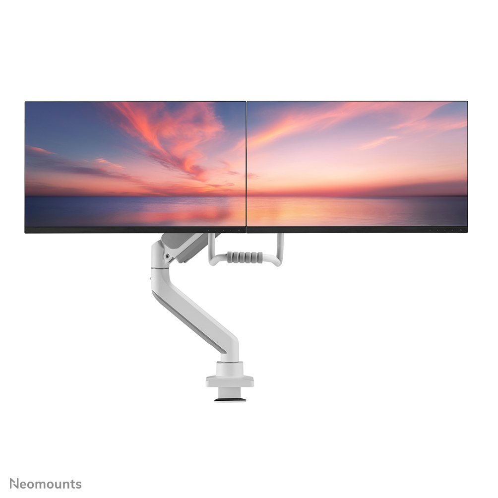 Neomounts Monitor-Tischhalterung - Klemme /Bolzen - 8 kg - 43,2 cm (17 Zoll) - 81,3 cm (32 Zoll) - 100 x 100 mm - Weiß