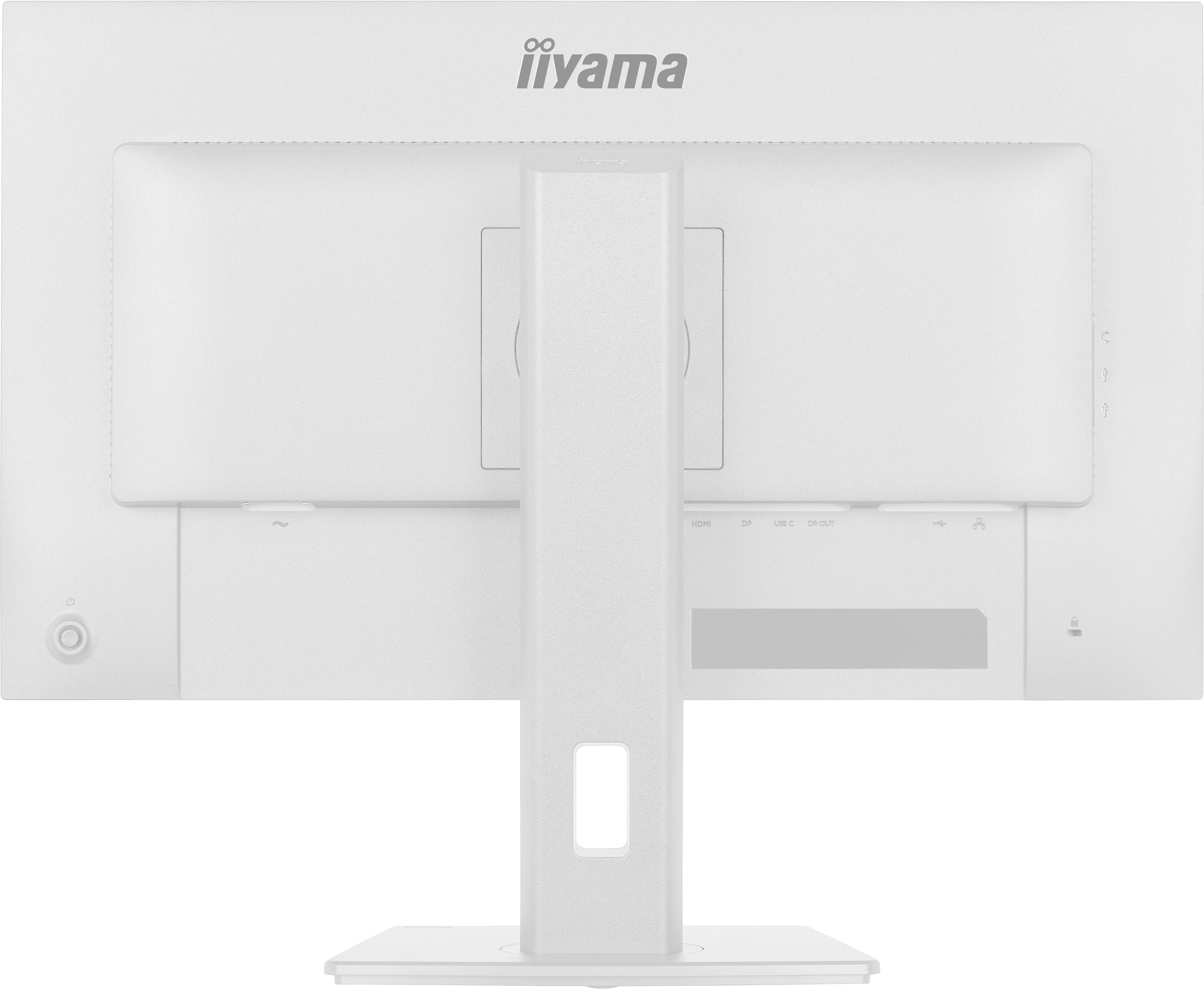 monitor, display, stativ, rückseite, anschlüsse