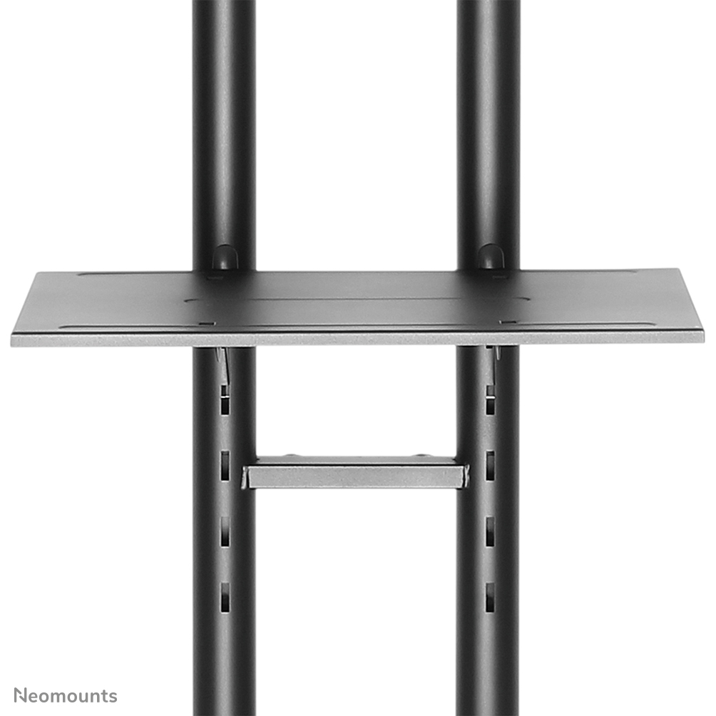 Neomounts Mobiler Flachbild Ständer - 50 kg - 177,8 cm (70") - 81,3 cm (32") - 200 x 200 mm - 600 x 400 mm - 1550 - 1700 mm