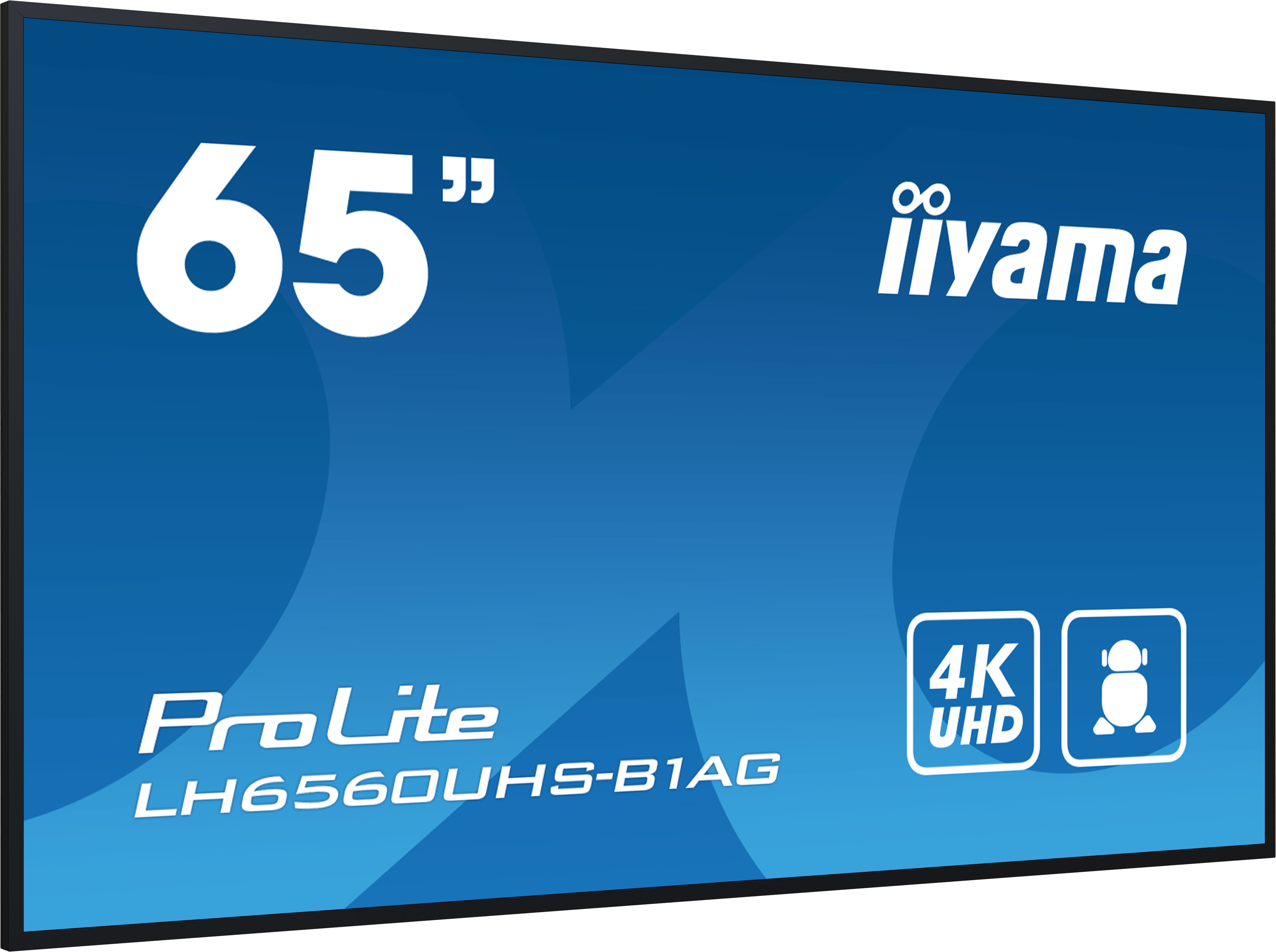 IIYAMA LFD ProLite LH6560UHS-B1AG