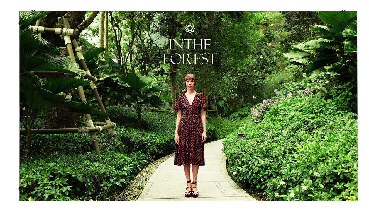 Pflanzenwuchs, Garten, Laube, Kleid, Regenwald