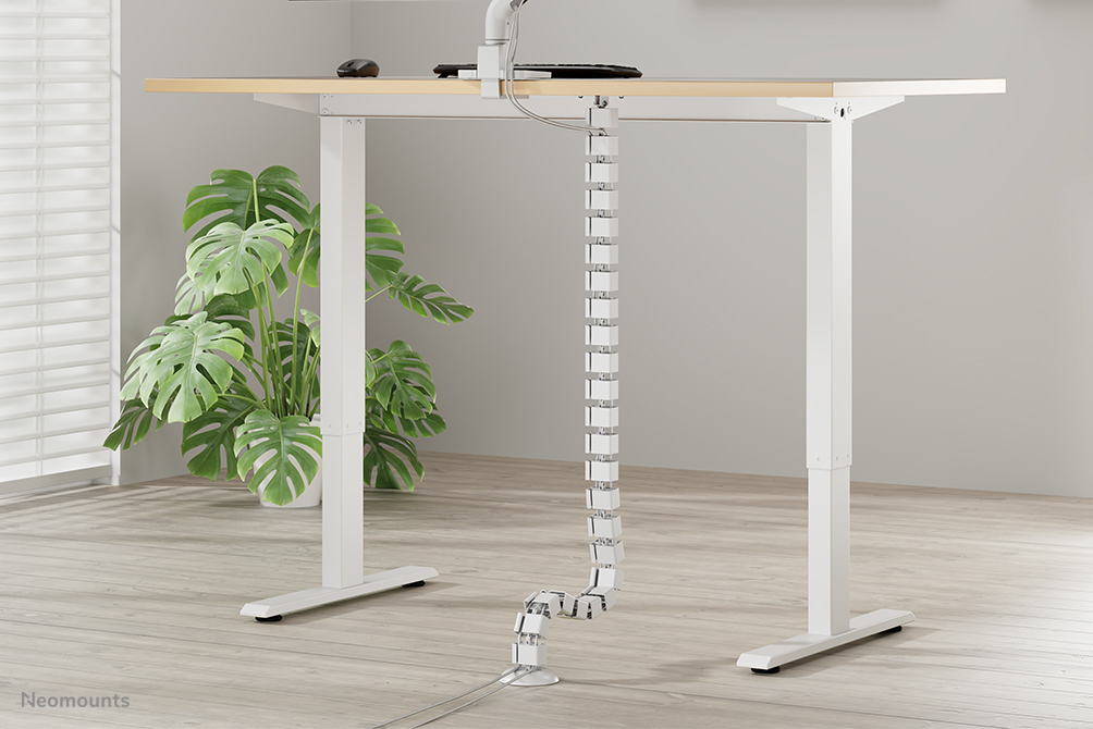 Schreibtisch, Mobiliar, Tabelle, Pflanze, Stehpult