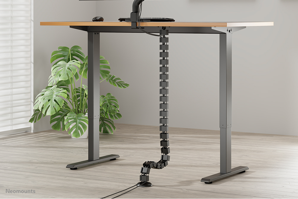 Schreibtisch, Mobiliar, Tabelle, Pflanze, Stehpult