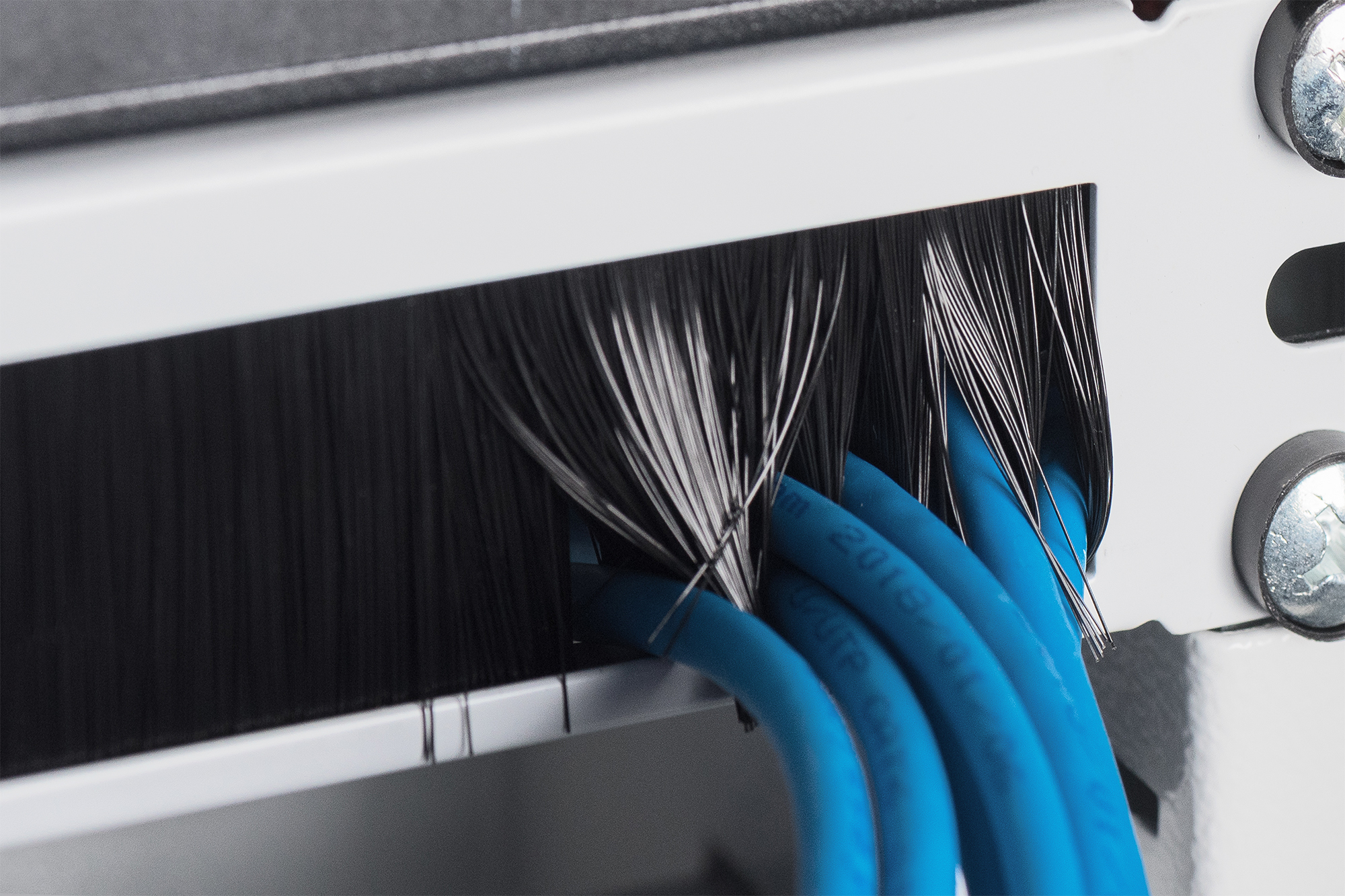 Kabel, Verkabelung, Schwarz, Blau, Steckdose