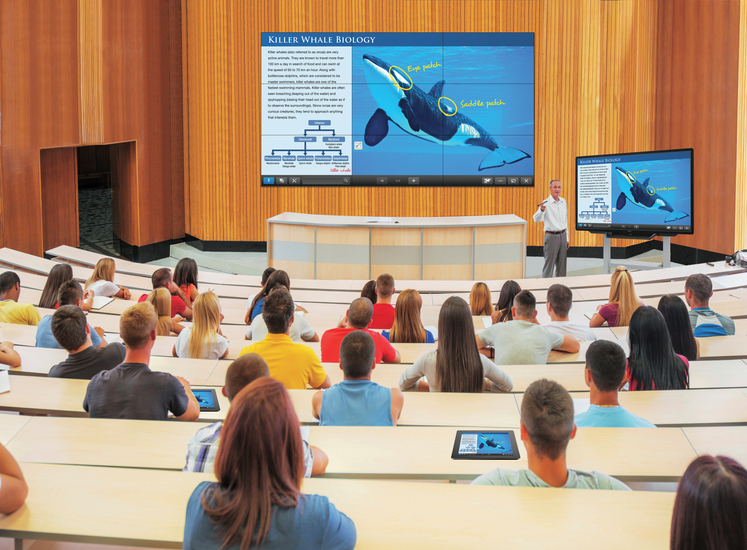 Sharp PN-80TC3 Sharp PN-80TC3