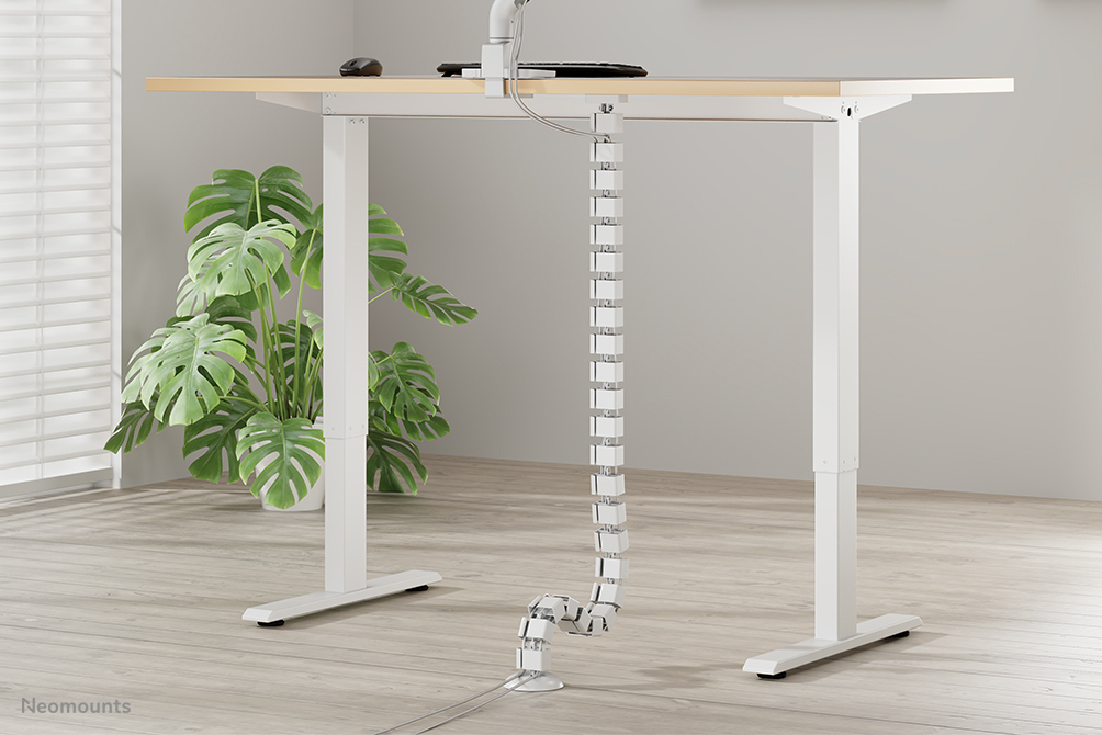 Schreibtisch, Mobiliar, Tabelle, Pflanze, Stehpult