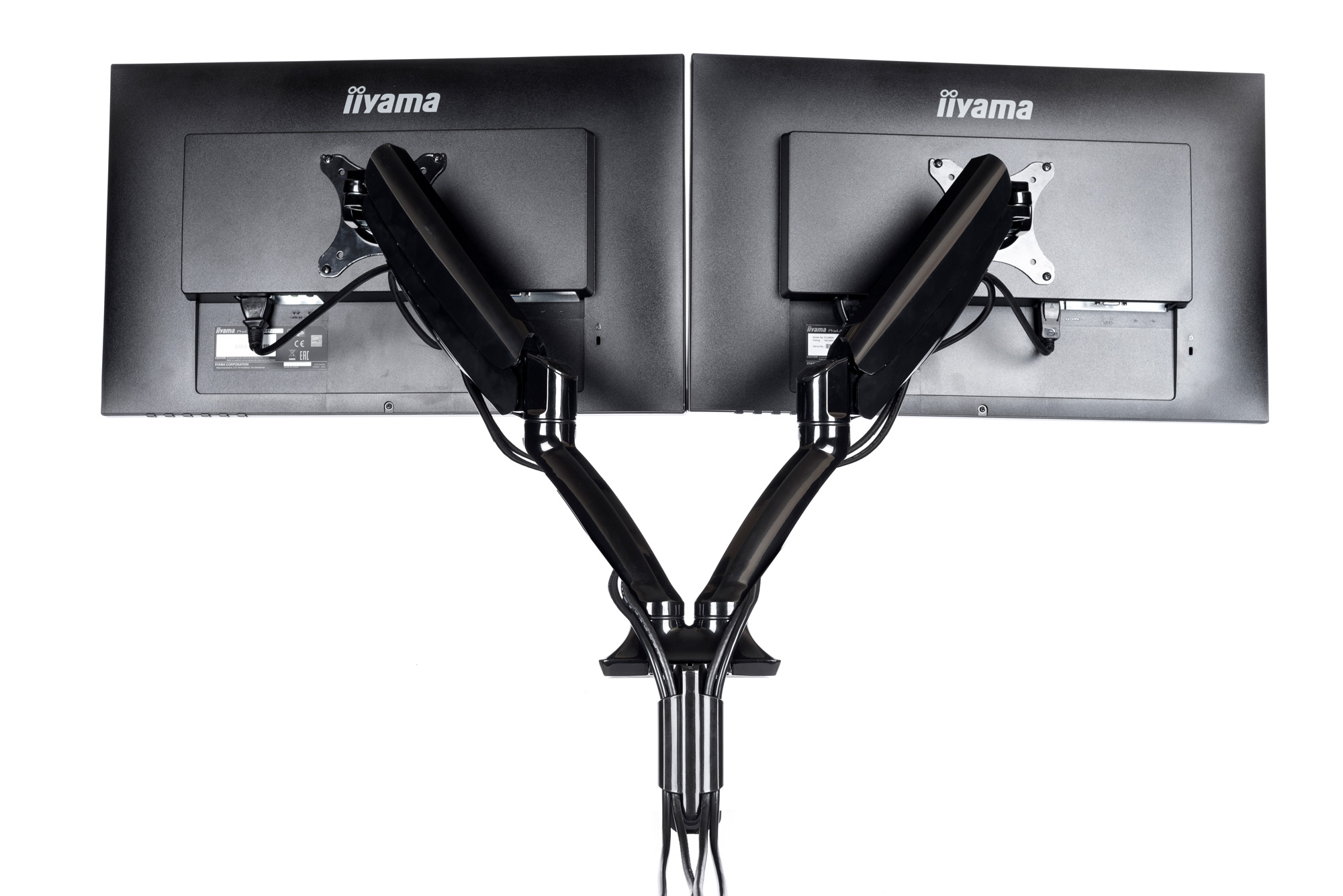 monitor, dual, arm, mount, clamps