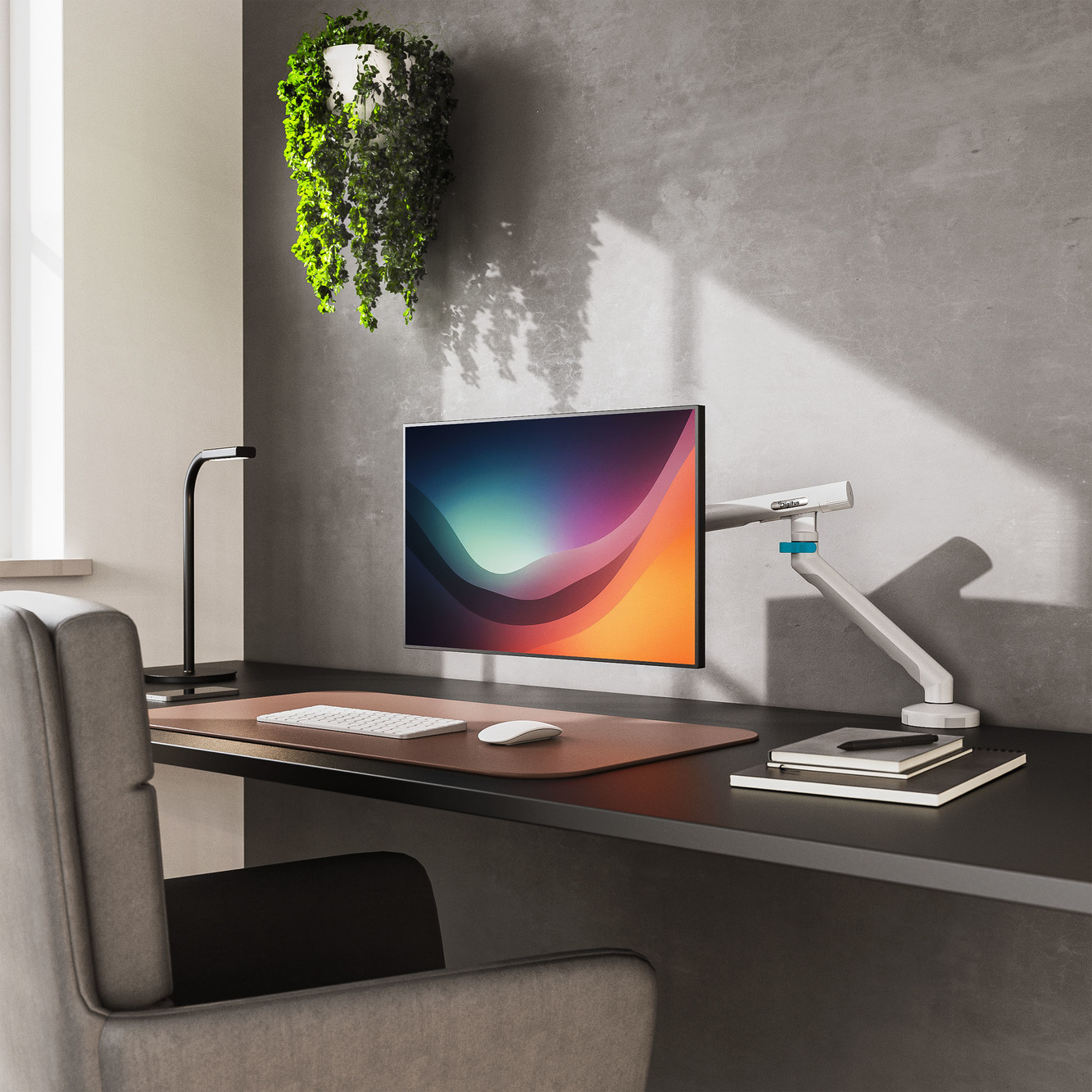 monitor, desk setup, ergonomic, wandaufgesehene?, pflanze