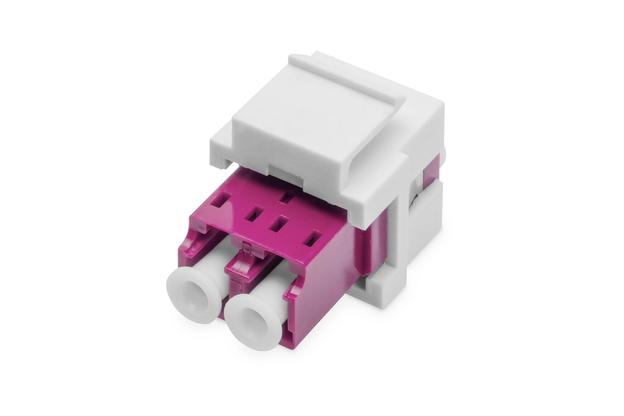 Elektronik-Netzwerk, RJ45-Slot, Farbakzent: Pink, Hochformat-Connector, Steckverbinder-Module
