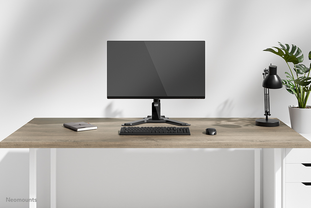 Computer Monitor, Monitor Stand, Tastatur, Maus, Schreibtischlampe