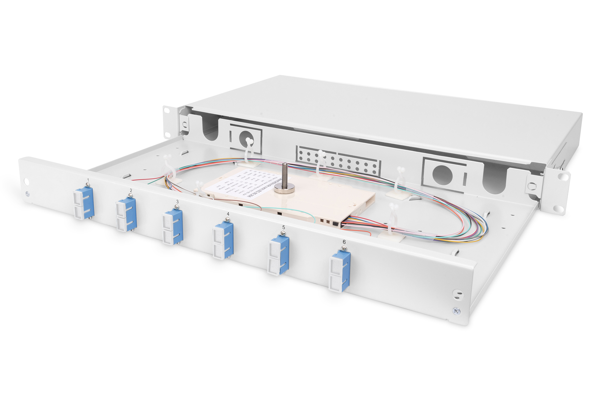 Patch-Panel, Rack-Mount, Schalter, Kabelverkabelung, Blaue-Schalter