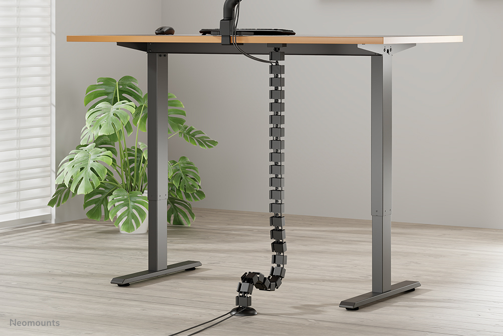 Schreibtisch, Mobiliar, Tabelle, Pflanze, Stehpult