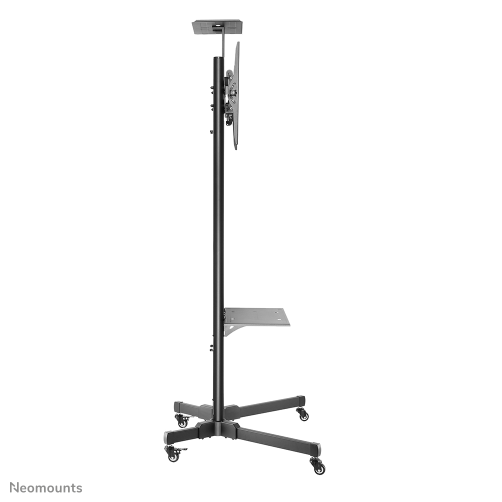 Neomounts Mobiler Flachbild Ständer - 50 kg - 177,8 cm (70") - 81,3 cm (32") - 200 x 200 mm - 600 x 400 mm - 1550 - 1700 mm