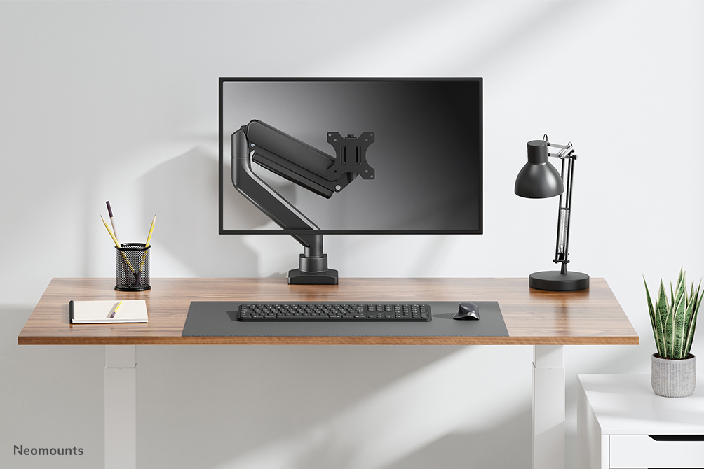 Neomounts Monitor-Tischhalterung - Klemme /Bolzen - 15 kg - 43,2 cm (17 Zoll) - 106,7 cm (42 Zoll) - 100 x 100 mm - Schwarz