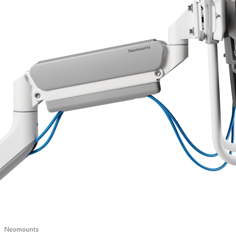 Neomounts Monitor-Tischhalterung - Klemme /Bolzen - 8 kg - 43,2 cm (17 Zoll) - 81,3 cm (32 Zoll) - 100 x 100 mm - Weiß