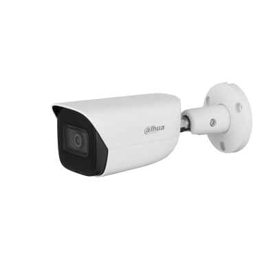 Dahua CCTV 5MP IR Fixed-focal Bullet WizMind Network Camera, DH-IPC-HFW5541EP-ASE-0280B-S3 Person, Sicherheit
