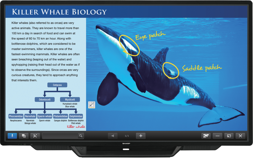 Sharp PN-80TC3 Sharp PN-80TC3