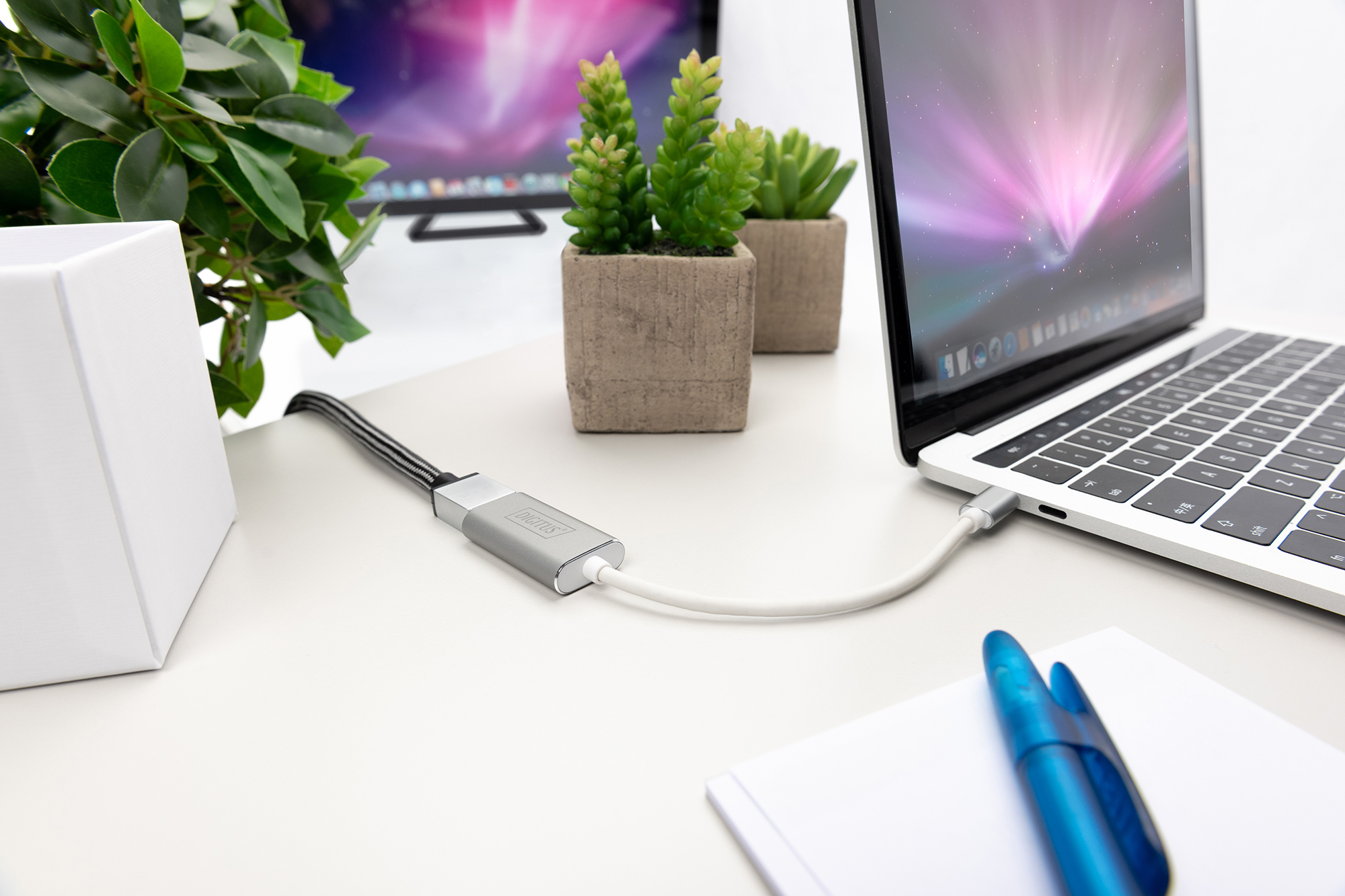 laptop, laptop USB-C, desktop setup, tischzubehör, pflanzen