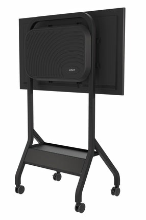 Elektronik, Sprecher