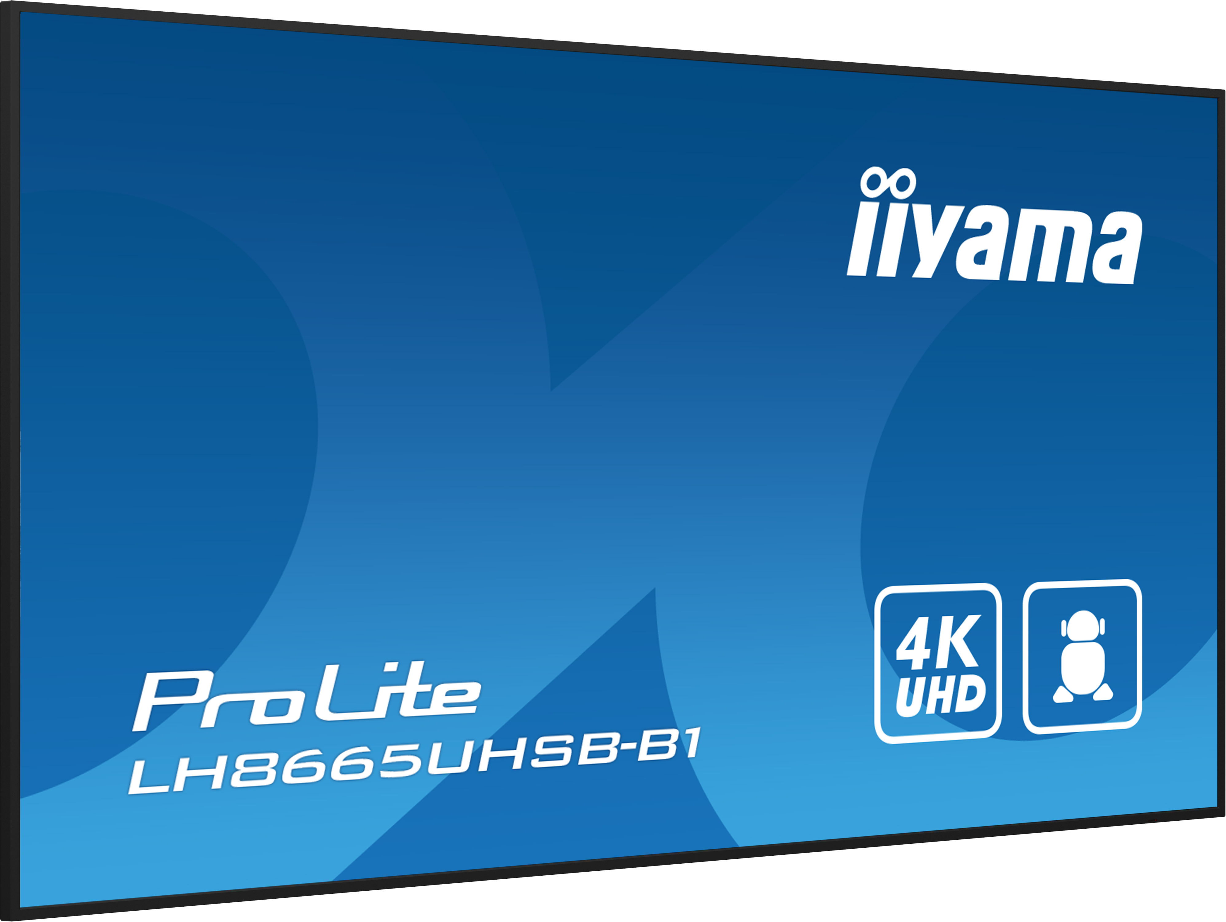 IIYAMA LFD ProLite LH8665UHSB-B1