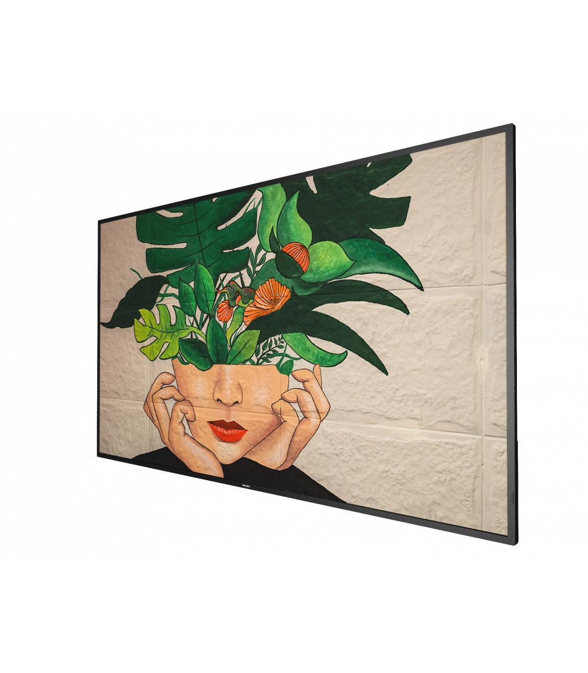 Fernseher, Flachbildschirm, Wandmontage, schwarzer Rahmen, Pflanzenmotiv