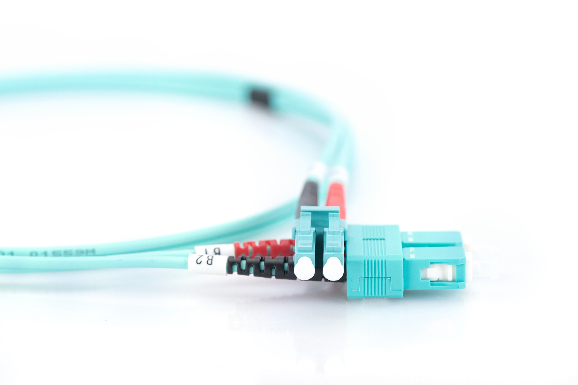ethernet, Netzwerkkabel, RJ45, Cat5e, Türkisfarbener Stecker