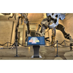 Peerless-AV Kiosk 40" Landscape KILH540-S-EUK Peerless-AV Kiosk 40" Landscape KILH540-S-EUK