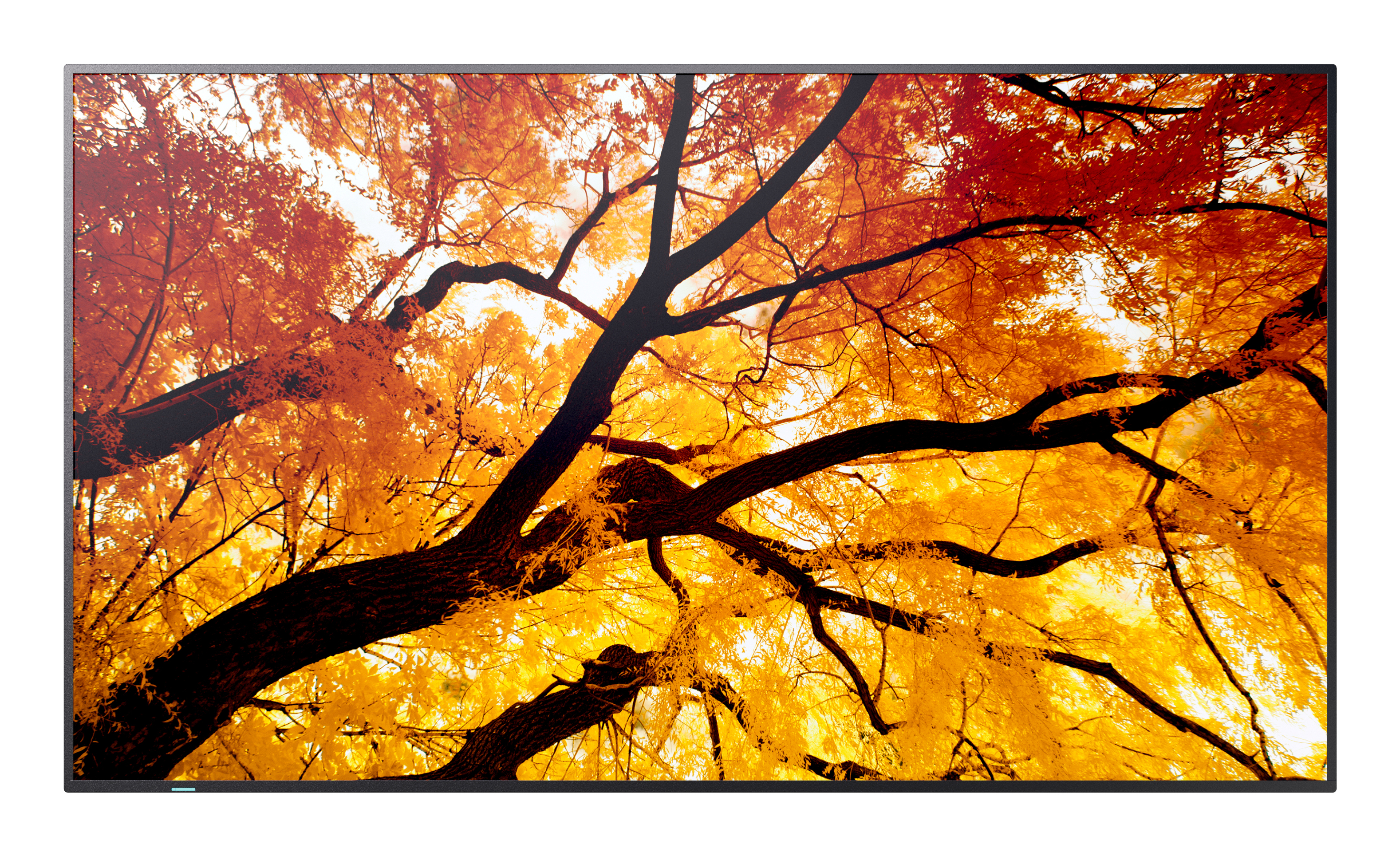 Sharp Large Format Display M322