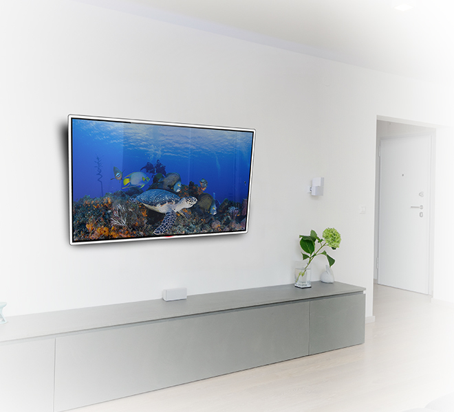 B-TECH BTV521