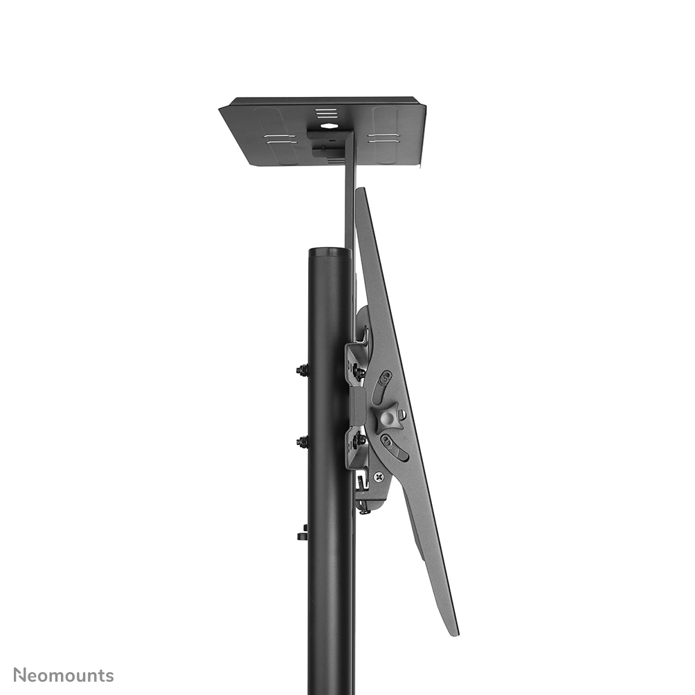 Neomounts Mobiler Flachbild Ständer - 50 kg - 177,8 cm (70") - 81,3 cm (32") - 200 x 200 mm - 600 x 400 mm - 1550 - 1700 mm