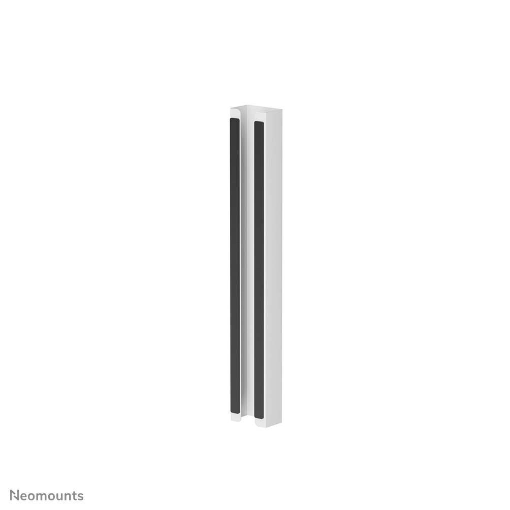 Zylinder