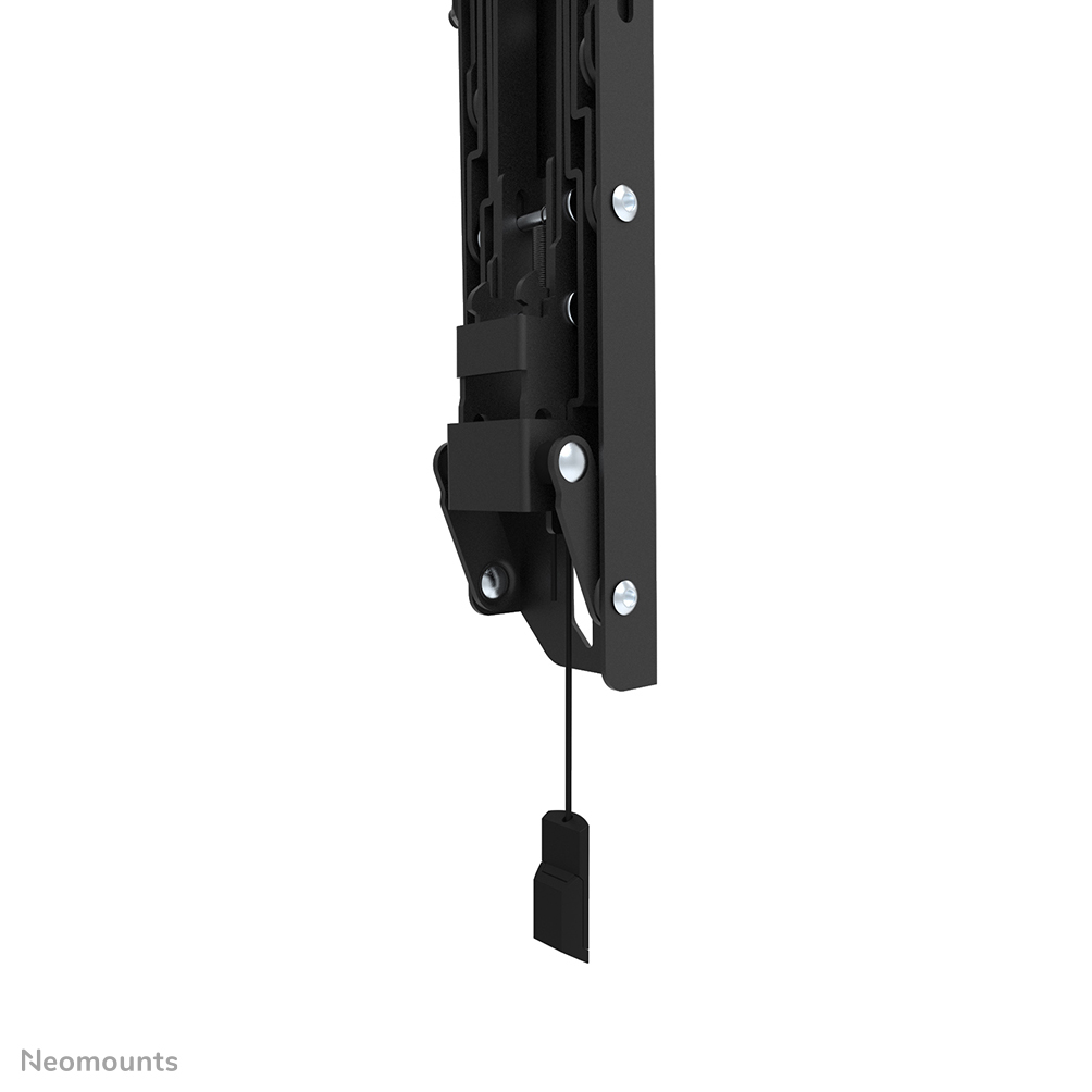 Neomounts Select TV-Wandhalterung - 61 cm (24 Zoll) - 139,7 cm (55 Zoll) - 75 x 75 mm - 200 x 200 mm - 0 - 12 Grad  - Schwarz
