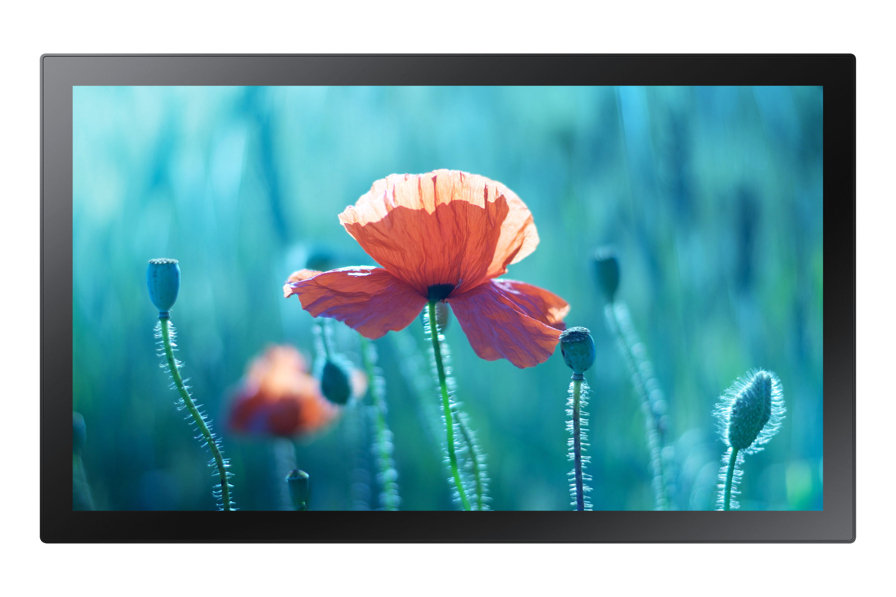 Samsung Smart Signage QB13R-TM**