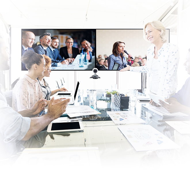 B-TECH Universal Dual Screen VC Trolley (VESA 600 x 400) B-TECH Universal Dual Screen VC Trolley (VESA 600 x 400)