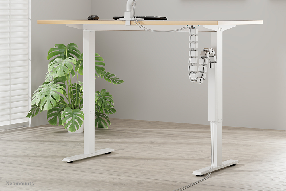 Schreibtisch, Mobiliar, Tabelle, Pflanze, Stehpult