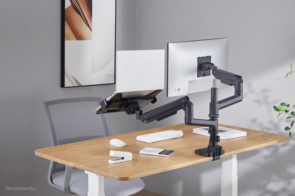 Neomounts Laptop desk holder 11.6"-17.3"