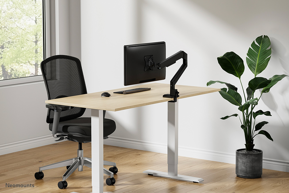 Schreibtisch, Steh-Schreibtisch, Monitorarm, Bürostuhl, Pflanze