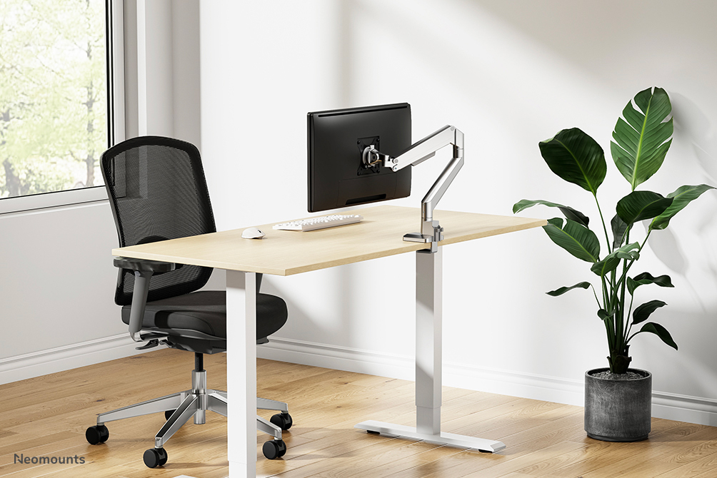 desk, standing desk, monitor arm, ergonomic chair, plant