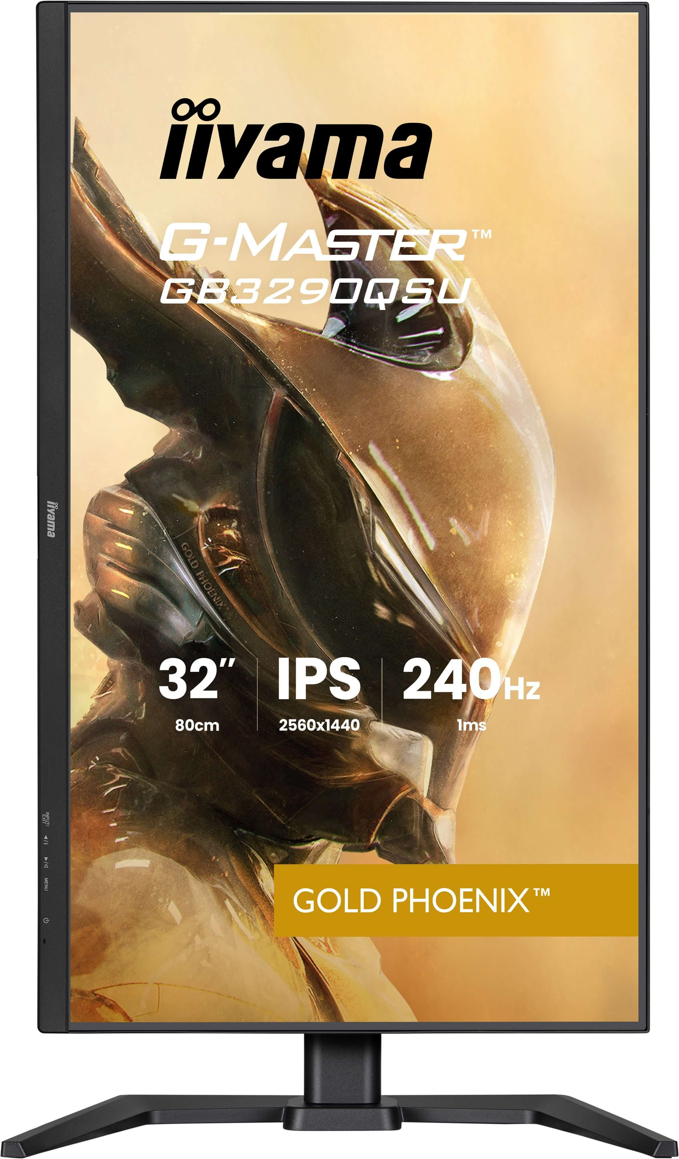 Computerausrüstung, Überwachen, Bildschirm, FERNSEHER