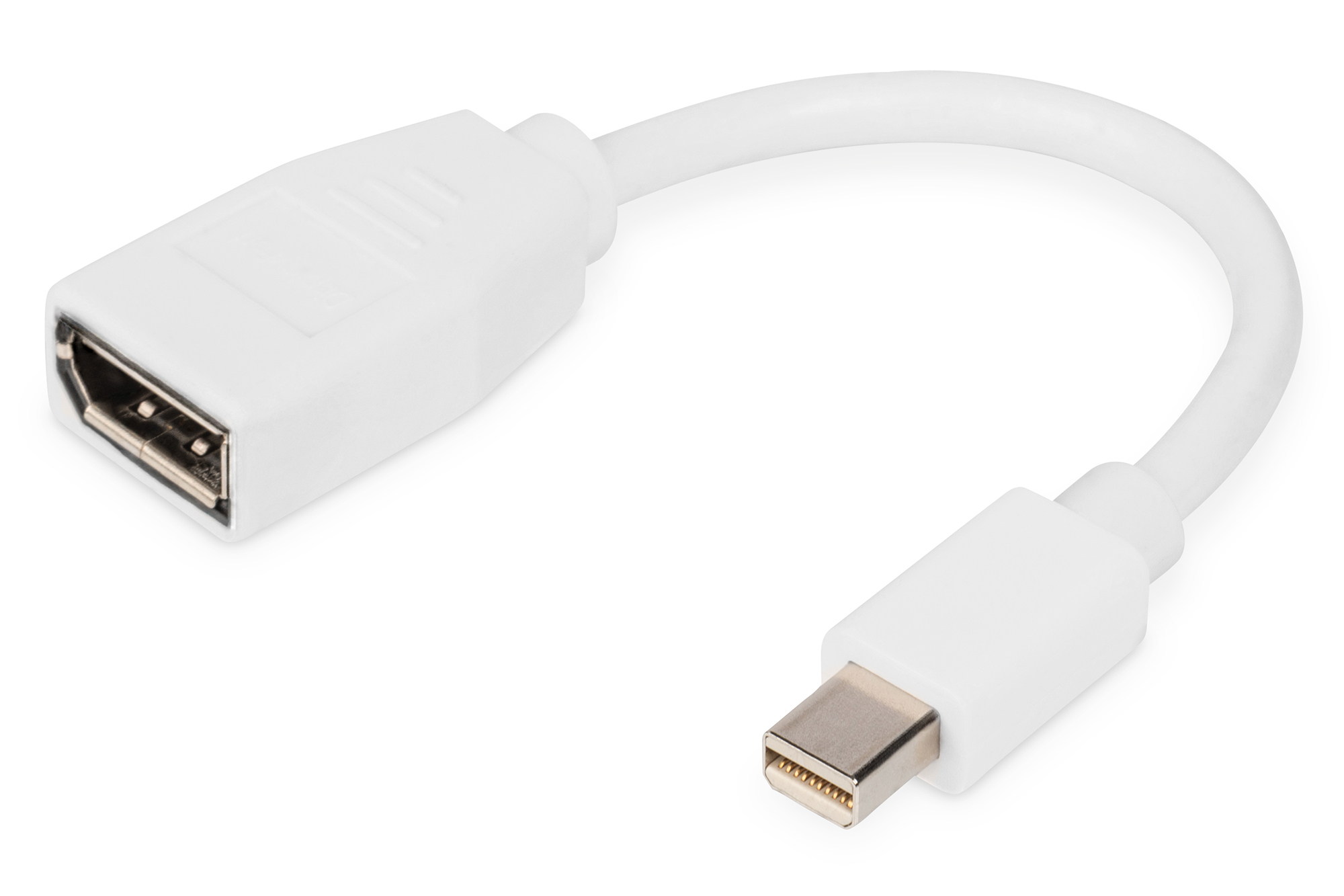 DIGITUS DisplayPort Adapterkabel, mini DP - DP St/Bu, 0,15m