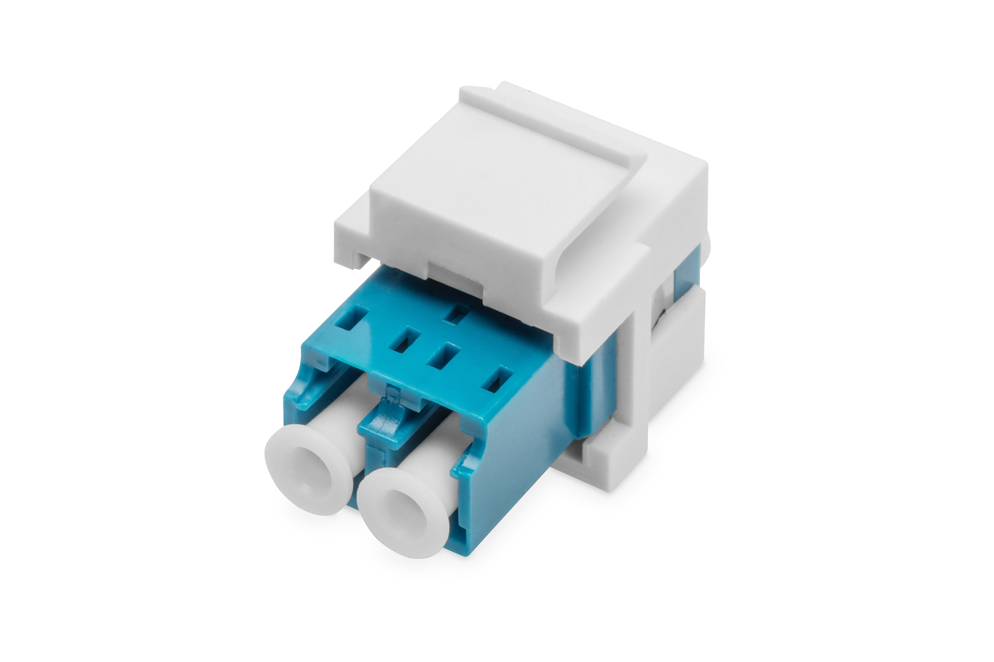 Datenstecker, Faseradapter, blauer Gehäuse, weiße Verriegelung, modularer Stecker