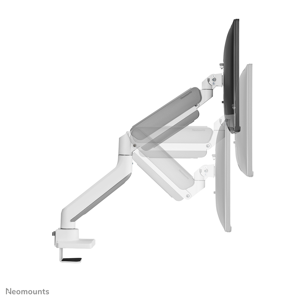 Neomounts Monitor-Tischhalterung - Klemme /Bolzen - 15 kg - 43,2 cm (17 Zoll) - 106,7 cm (42 Zoll) - 100 x 100 mm - Weiß