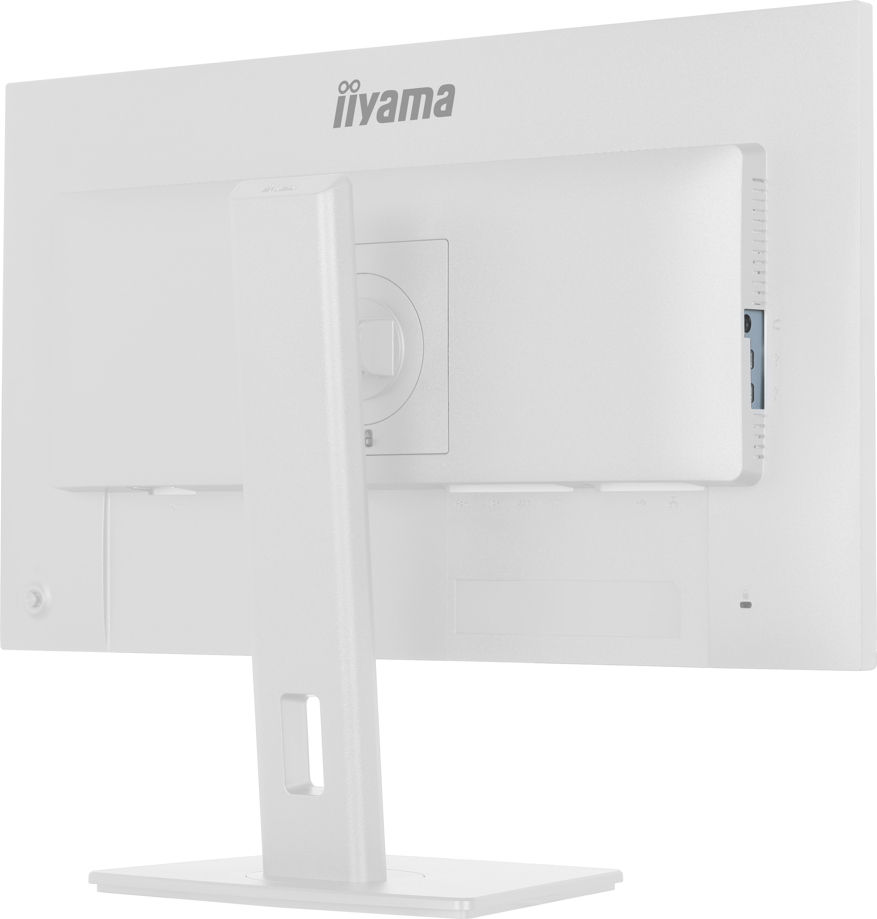monitor, computer monitor, verstellbarer Stand, grundlegend, rückseitige anschlüsse