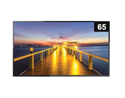 NEC Large Format Display E651-T