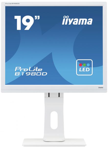 IIYAMA Monitor B1980D-W1